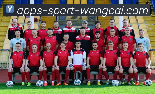 App Interface Preview