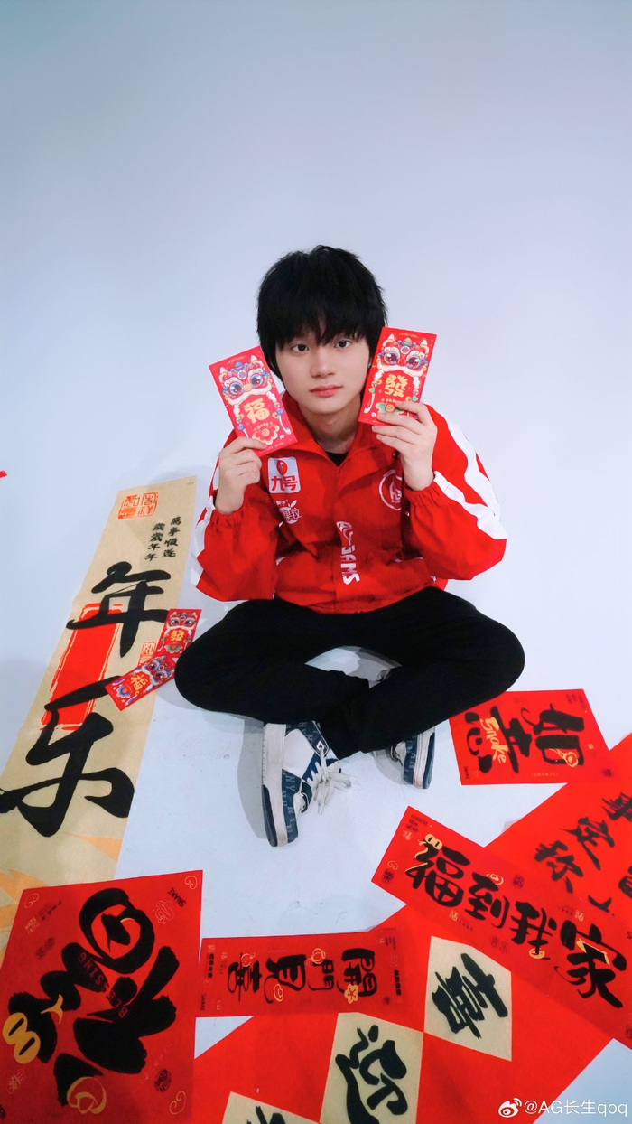 面向新手